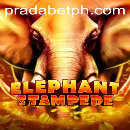 Dive into ElephantStampede